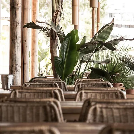 Virginia Family Kallithéa