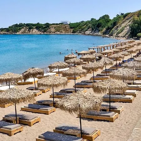 리조트 Virginia Family 4*