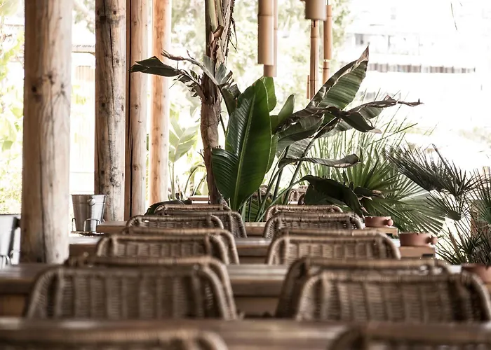 Virginia Family Kallithéa